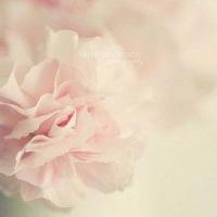 去寻找心灵的故乡