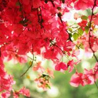 描写春夏秋冬的美文摘抄