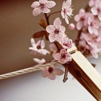 你为什么不能成为未来的百万富翁？