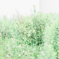 换一份心情,变一种态度,转一个角度