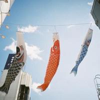 非主流唯美女生好看图片_向着幸福奔跑