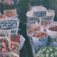 口述:高中时我和漂亮女家教老师的激情性爱