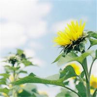 最搞笑的笑话-日常生活中常见搞笑片断