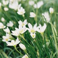 原创文字:你离开之后