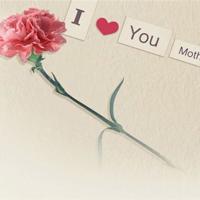 花儿开时，心儿温暖