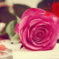 淡看人生,做最好的自己