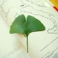 有一种相思，叫做再见