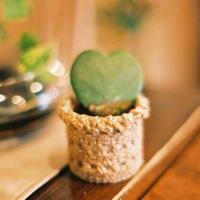 午夜梦回，前世情人