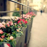 要有多大的勇气，才可以重新变得安静