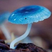 有一种智慧叫“等距交往”