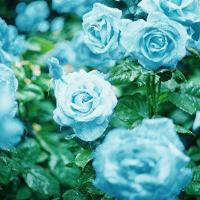 爱是婚姻的核心