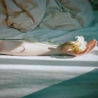 恶毒之花之天仙子