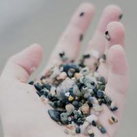 烧马蜂窝的惊遇