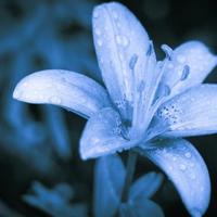 钻探安全教育培训心得体会