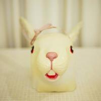 如果在永城遇见你