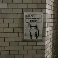 我陪母亲逛北京