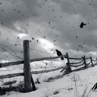 在鲜美的时候遇到你