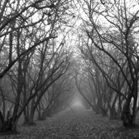 唯美手写忧伤爱情文字图片_青春荒唐我不负你