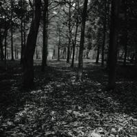 伤感文字控说说图片