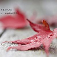 百句经典名言 经典的道德名言