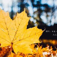 [德]马丁·瓦尔泽【寻找死亡的男人】- 越老越浪漫