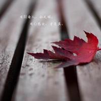 励志人生:该放下的还是得放下