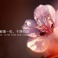 再亲密的人也没有义务去懂你