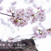 冷笑话,也可以很温暖,也可以很温馨……