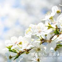 乱系列H全文阅读 人妻合集500章