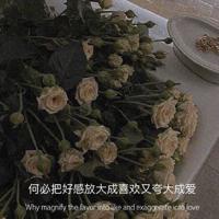 祭奠过去的青春