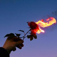 最怕的是，你永远也忘不掉。