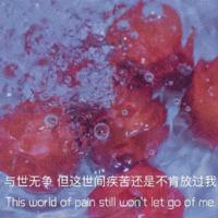 郭敬明最新经典语录 青春是道明媚的忧伤