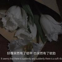 [美] 爱利克·埃里克森【童年与社会】- 童年研究，精神分析