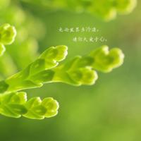 对身边的人好点,因为下辈子不一定能遇见。伤心经典语录