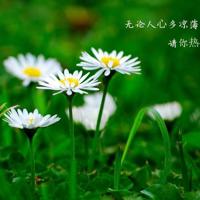 执子之手,与他“吵”到老