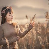 乐于助人的飞行员