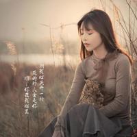 清新唯美的四叶草图片_幸福爱情的见证