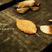 人要是蠢，就千万不能坏