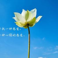 知道自己前往何处