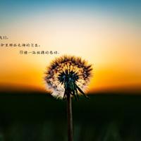 幸福隔着一道玻璃墙