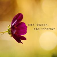 聪明女儿、粗心教授