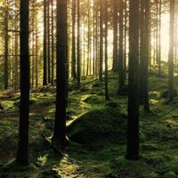 最高的教养，就是尽量不让别人难堪