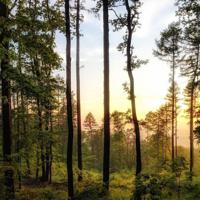 【时间都去哪了】暖如玉