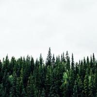 开车晚上污痛痛 你们老公都是怎么要的