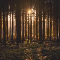 牛的逗人冷幽默