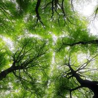 一向很好！不必牵挂！