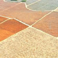 (中学校园文章)那年,我高考