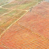 我们都会死很久，别活太着急