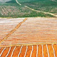 第一眼遇见,第二眼沦陷