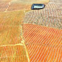 312植树节横幅标语口号大全